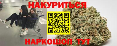сатива Малгобек